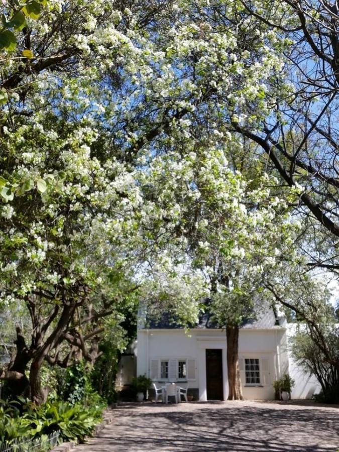 Little Green World Beaufort West Bagian luar foto